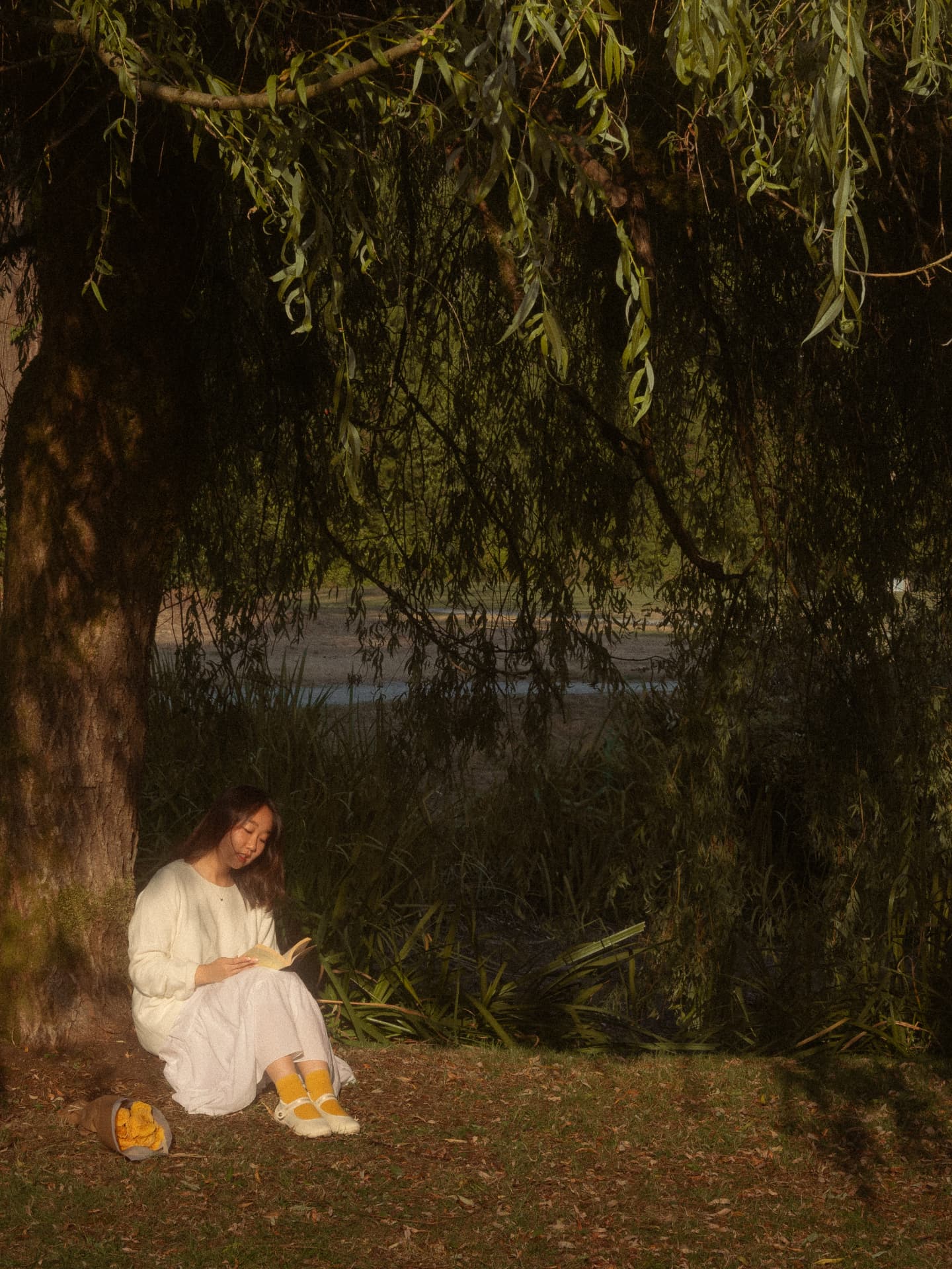 Woman reading a book beneath a large willow tree in a serene Metro Vancouver park